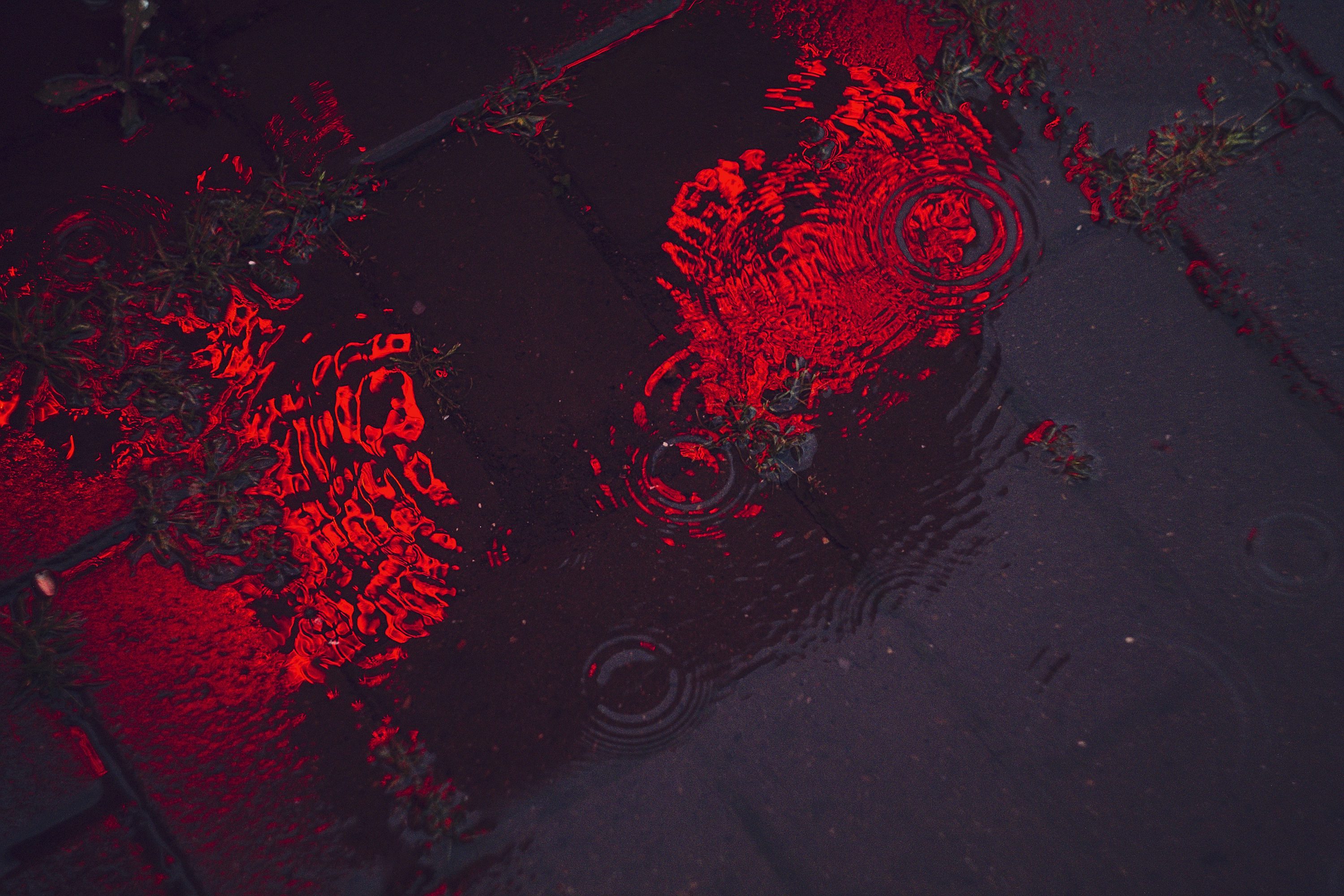 Crypto market crashes as $ 19.5 billion removed from the Recorre-Break Event Liquidiation: What happened?