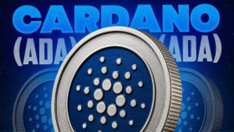 cardano coin kaufen