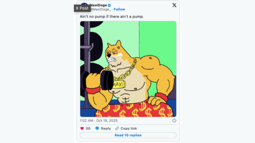 maxidoge x