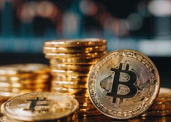 加密市場強勢反彈帶動山寨領漲 11月牛市新周期值得關注哪些百倍幣?