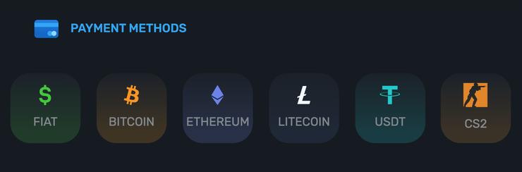 platby kryptomenami CS2 skins