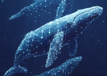 XRP Traders Face Fresh Selling Pressure As Large Holders Move Out