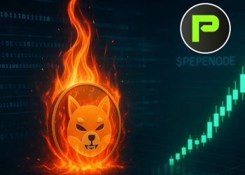 バーン急増とネットワーク回復で見える次の強気転換点