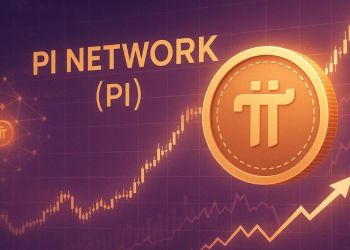 パイネットワーク 価格｜短期上昇と投資心理の変化を探る