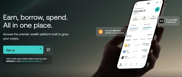 Nexo is user friendly and offers daily interest payouts.