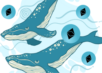 Una “balena” acquista altri 105 milioni $ in Ethereum, per un totale di 1,33 miliardi $ dal 4 novembre