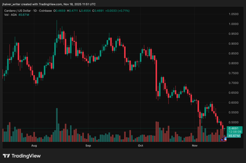 Cardano on the Edge: Whale Loss Sparks Sell-Off as ADA Risks Drop to $0.43–$0.30 Range