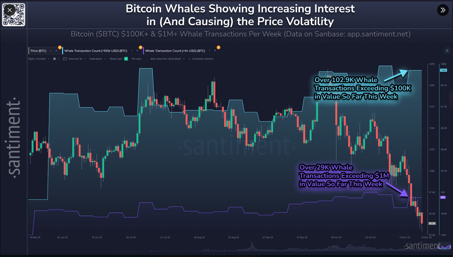 Whale activity chart