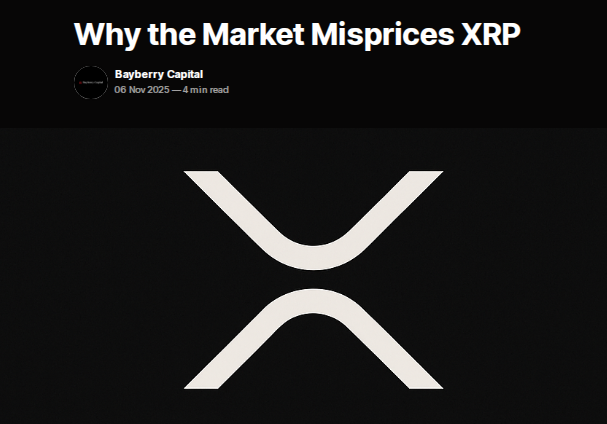 XRP’s Price Doesn’t Match Its Growing Real-World Use, Study Finds