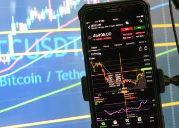 アルトコイン動向2025年11月:新興ビットコイン系L2やソラナ・イーサリアム・リップルが牽引する新たなブロックチェーン潮流