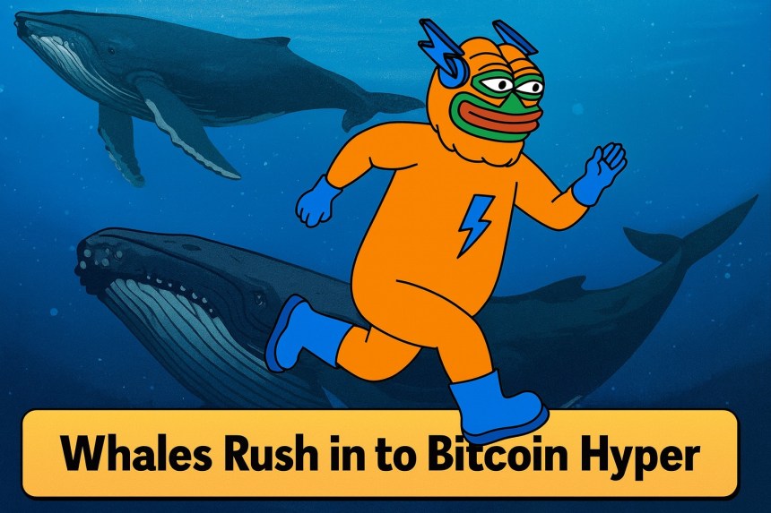 $307K in 24 Hours: Why Are Whales Flocking to Bitcoin Hyper?