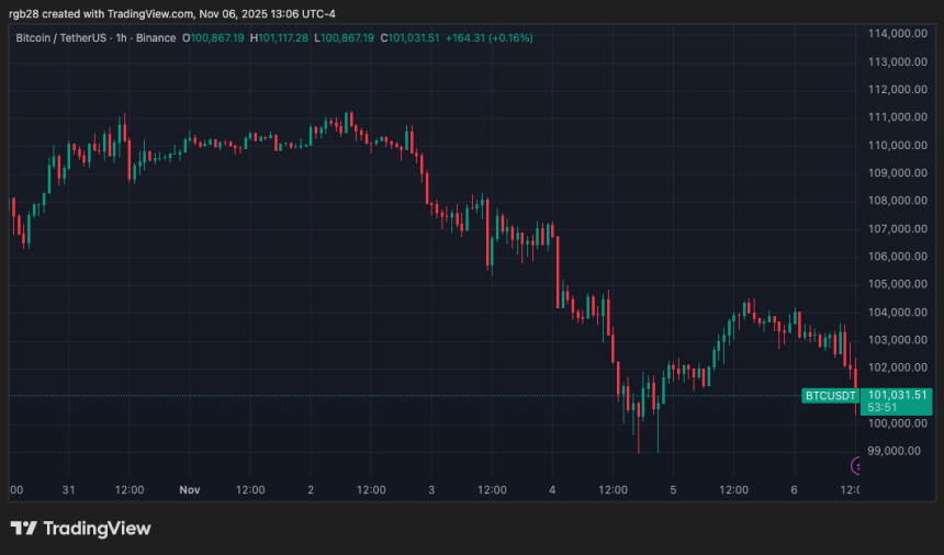 Cathie Wood Trims Her 2030 Bitcoin Price Prediction To .2 Million – Here’s Why