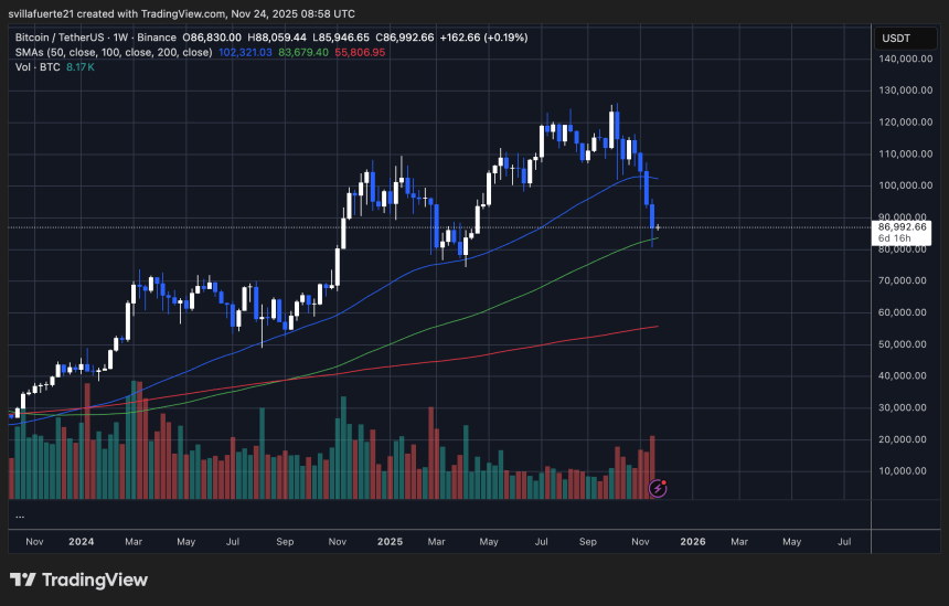 BTC holding key support | Source: BTCUSDT chart on TradingView