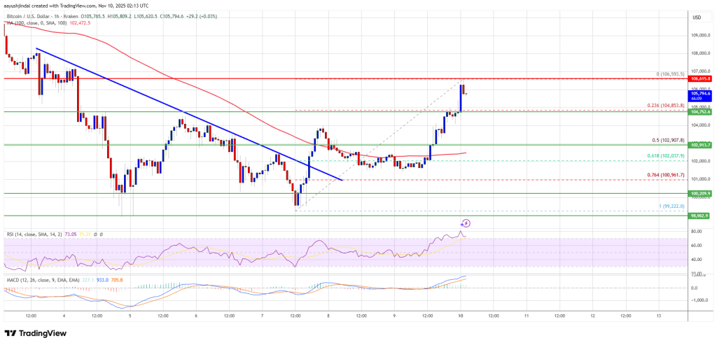 Bitcoin Price Attempts Rebound After Sell-Off, Can Bulls Sustain Move?