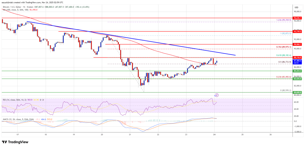 Bitcoin Price Tries Rebound Move as Dip-Buyers Step In Cautiously