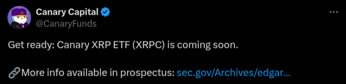 Next 1000x Crypto? Maxi Doge Nears M as XRP ETF Buzz Builds