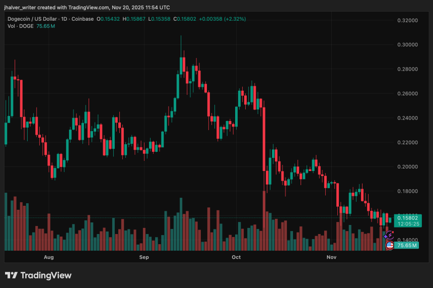 Dogecoin Price Prediction: Will DOGE Recover in December or Fall Further First?