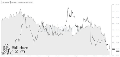 Here’s Why Dogecoin And Shiba Inu Prices Are Crashing, Is A Recovery Possible?