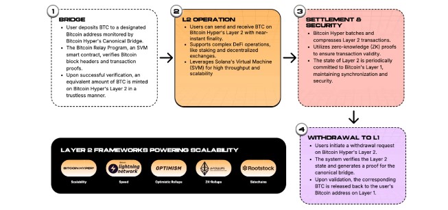 HYPER zieht Walinteresse an, während Bitcoin abstürzt