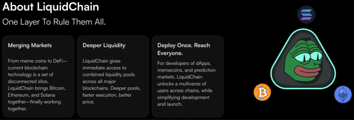 LiquidChain’s layer 3 project utility.