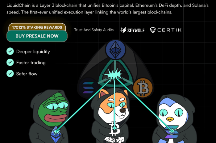 LiquidChain’s official presale and crypto layer 3 concept.