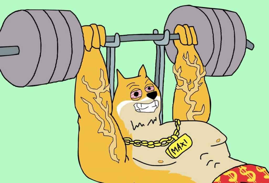 Maxi Doge - 2026年第1四半期の展望