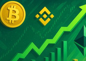 仮想通貨 おすすめ：ビットコイン鯨の20億ドル買いで注目される次の投資先