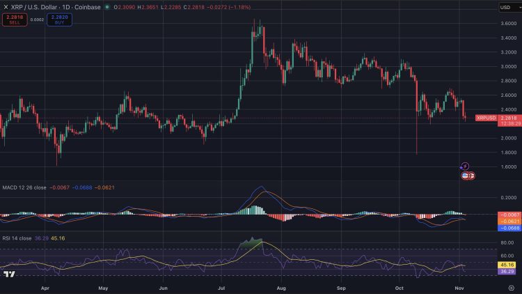 Crypto expert legt uit waarom XRP in november beter presteert dan Bitcoin.