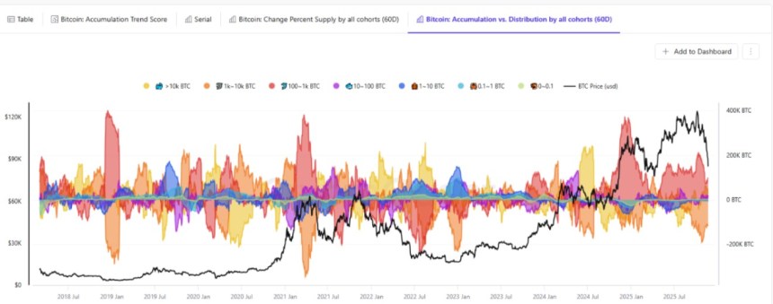Has The Bitcoin Value Hit Its Backside? Key On-Chain Knowledge Alerts Potential Rebound Forward
