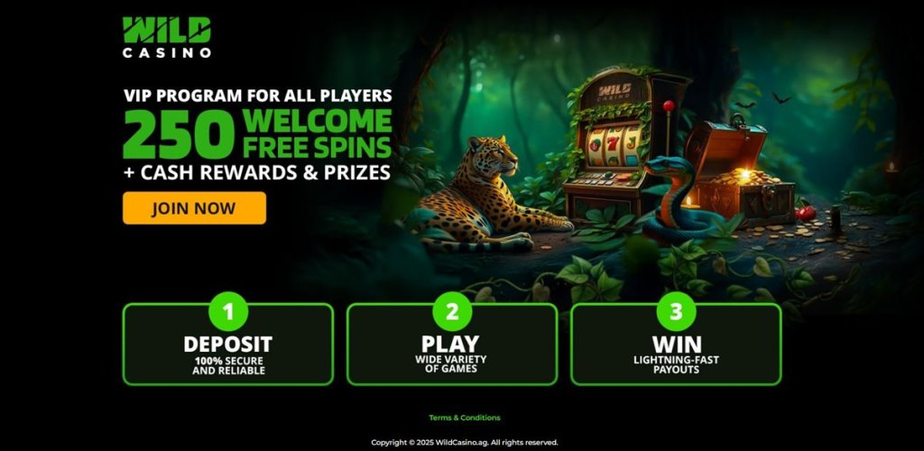 Wild Casino for playing Book Of Dead Slot Game