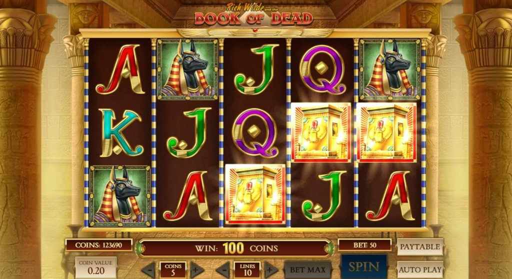 Wilds & Special Symbols on Book Of Dead Slot Game