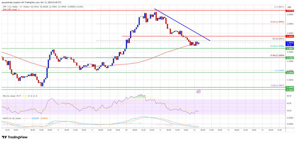 XRP Price Pulls Back Slightly — Market Still Poised for Fresh Advance