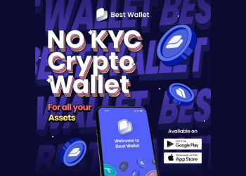 best wallet main