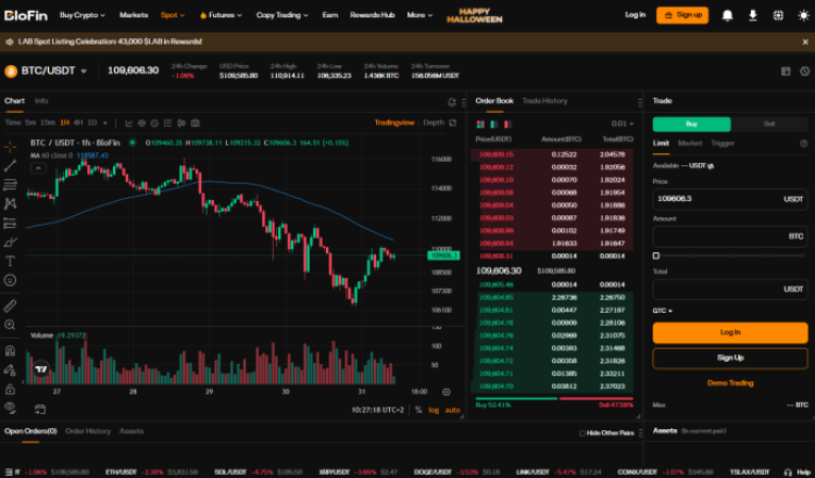 Spot trading dashboard on the BloFin website.