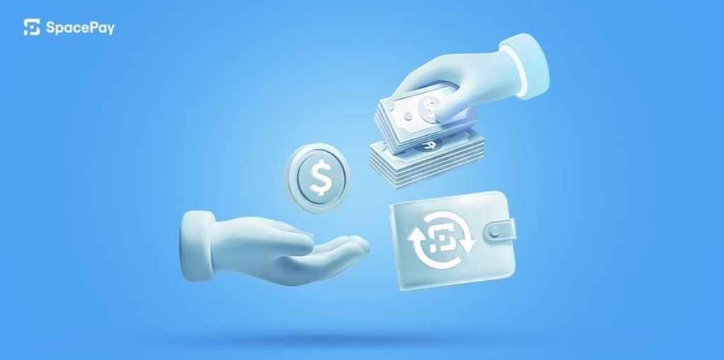 Tipuri de portofele pentru SpacePay (SPY)