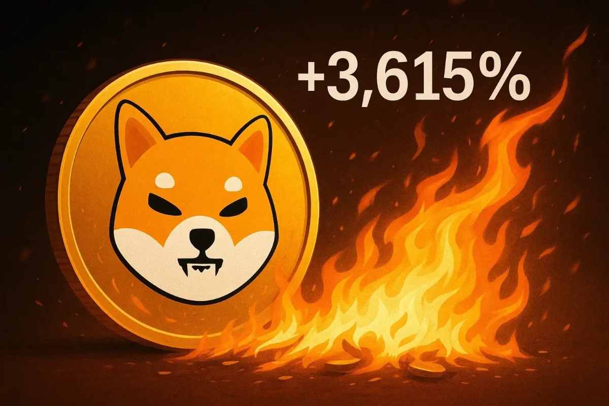 시바이누 소각률 3,600% 이상 급증… 밈코인 상승 사이클 돌아올까?