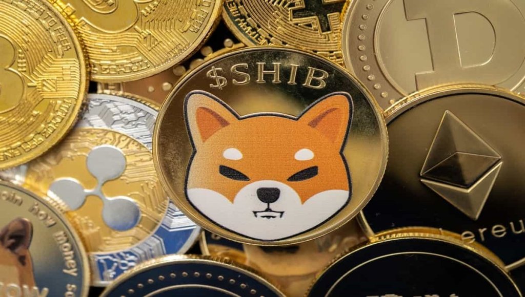 Warum SHIB Anleger jetzt besonders anfällig für Panik sind - Krypto-Experte warnt