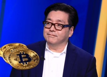 tom lee bitcoin