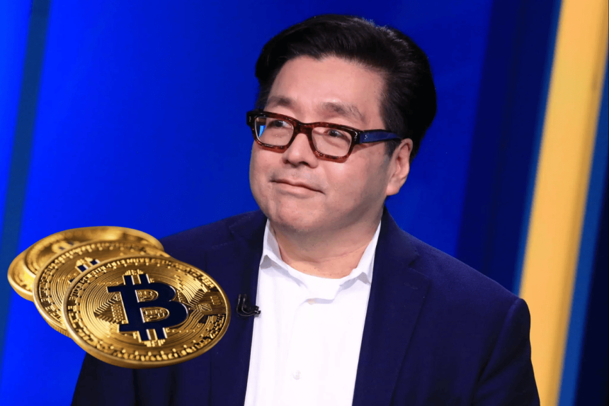 tom lee bitcoin