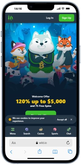 Wild.io welcome offer 