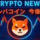 シバコイン 今後 に新展開