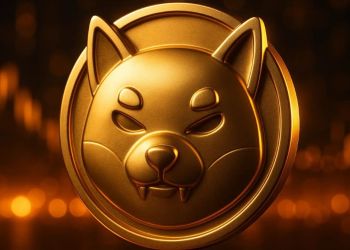 シバコイン 今後の展望：市場が冷え込む中でSHIBは重要サポートを死守できるのか？