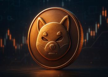 シバコイン 今後はどうなる