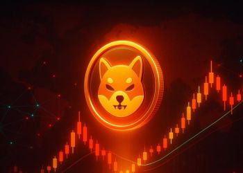 シバコイン今後に注目集まる：新制度と取引拡大が市場に新たな追い風