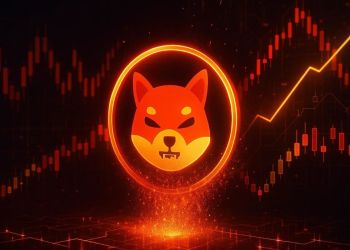 シバコイン今後の展望：異常なバーン急増でSHIB市場に何が起きているのか？