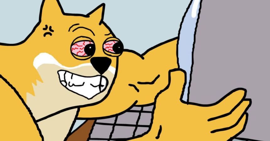 今注目されるミームコイン、トレーダーが次の有力候補と見る理由