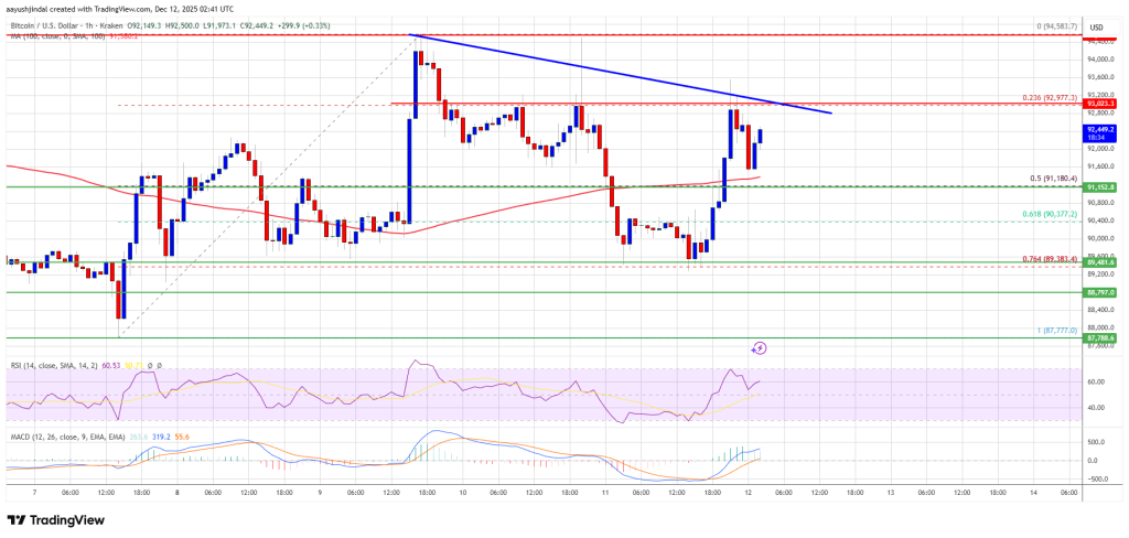 Bitcoin Price Holds Firm—Is a Fresh Bullish Wave About to Start?
