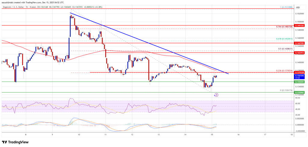 Dogecoin (DOGE) Slides Deeper Into Red—Is a Bottom in Sight?