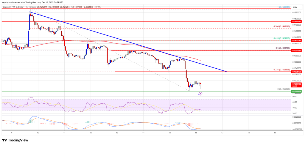 Dogecoin (DOGE) Under Heavy Pressure—Is a Bottom in Sight?