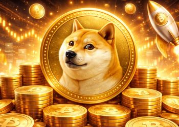ドージコイン今後の価格予測：クジラが一夜で1億3,800万枚を蓄積、急騰の兆しはあるのか